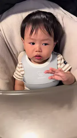 こてつ🦥🍂のTikTok投稿