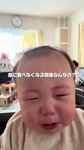 べびもん育成中のTikTok投稿
