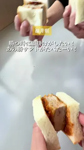 フクイフード /福井グルメのTikTok投稿