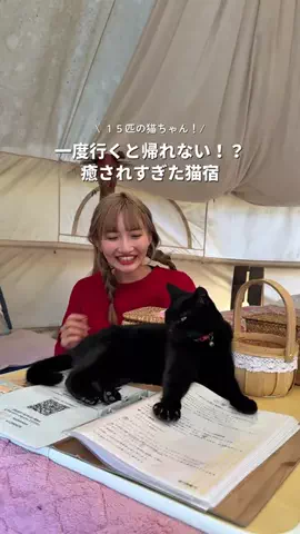 るる | 大阪発おでけけのTikTok投稿