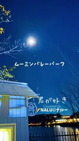 🌈NALU☺︎ナルーのTikTok投稿
