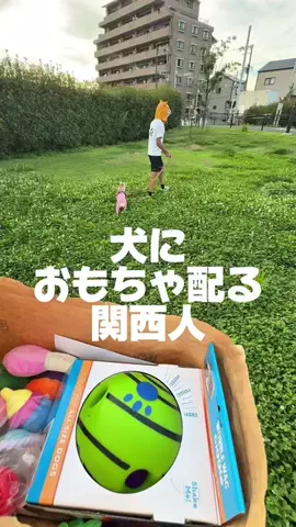 ペットにおもちゃ配る関西人/PetalkのTikTok投稿