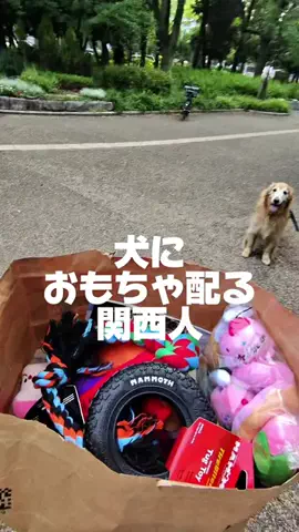 ペットにおもちゃ配る関西人/PetalkのTikTok投稿