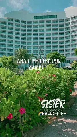 🌈NALU☺︎ナルーのTikTok投稿