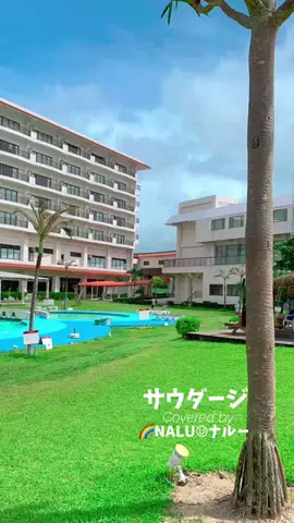 🌈NALU☺︎ナルーのTikTok投稿
