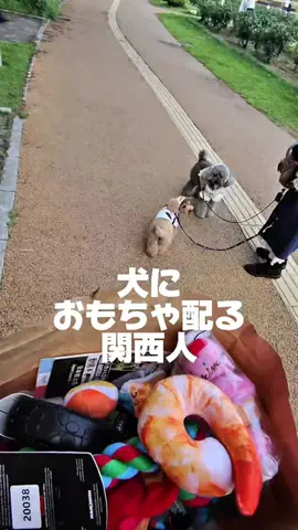 ペットにおもちゃ配る関西人/PetalkのTikTok投稿