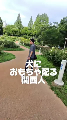ペットにおもちゃ配る関西人/PetalkのTikTok投稿