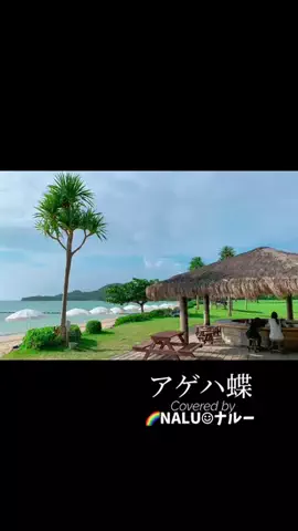 🌈NALU☺︎ナルーのTikTok投稿