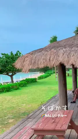 🌈NALU☺︎ナルーのTikTok投稿