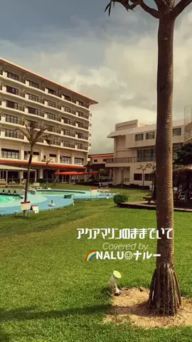 🌈NALU☺︎ナルーのTikTok投稿
