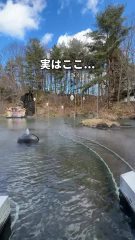 サウナコレクション【サウコレ！】のTikTok投稿