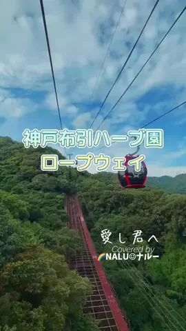 🌈NALU☺︎ナルーのTikTok投稿