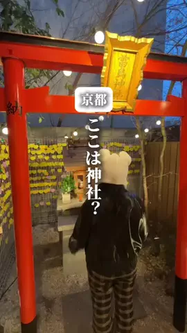 ぎふのことのTikTok投稿