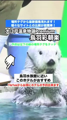 WINGのTikTok投稿