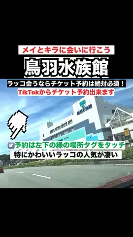 WINGのTikTok投稿
