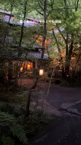 ゆる旅🌿のTikTok投稿
