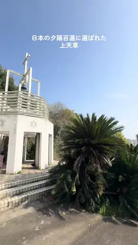 ゆる旅🌿のTikTok投稿