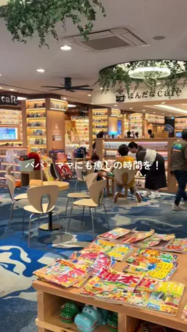 ゆる旅🌿のTikTok投稿