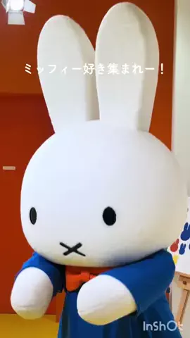 ゆる旅🌿のTikTok投稿
