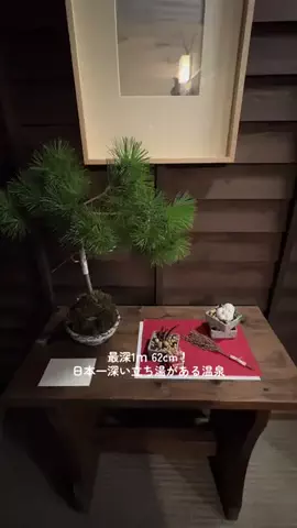 ゆる旅🌿のTikTok投稿