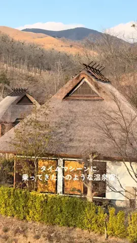 ゆる旅🌿のTikTok投稿