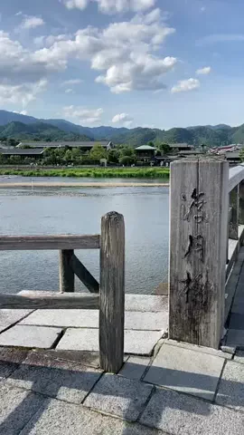 ゆる旅🌿のTikTok投稿