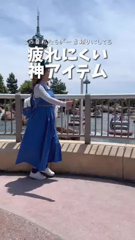 ディズニー大好き夫婦【アルエット】のTikTok投稿