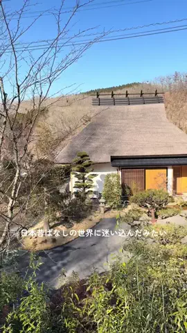 ゆる旅🌿のTikTok投稿