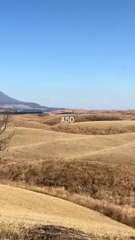 ゆる旅🌿のTikTok投稿
