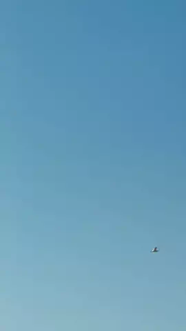 久遠🐏☁️のTikTok投稿