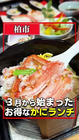 千葉グルメのTikTok投稿