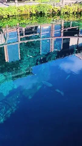 JPN旅する配達人ふぅ🐒🏔️🥾のTikTok投稿
