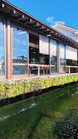 JPN旅する配達人ふぅ🐒🏔️🥾のTikTok投稿