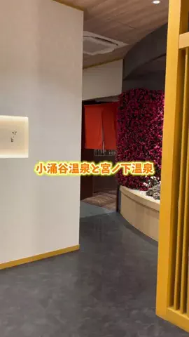 復活の千手丸のTikTok投稿