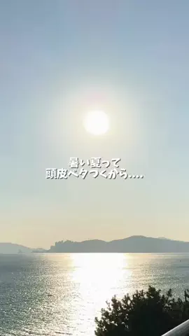 ねね🧸バズコスメ愛好家のTikTok投稿