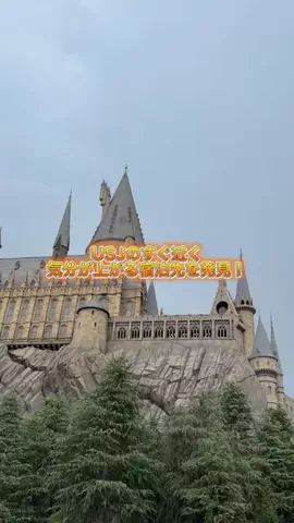 復活の千手丸のTikTok投稿