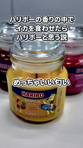 いいモノギークスのTikTok投稿