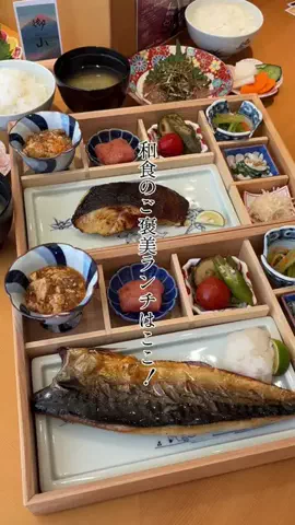 まこ飯@福岡グルメのTikTok投稿