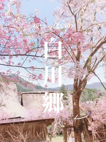 ASUKA_旅のガイドブックのTikTok投稿