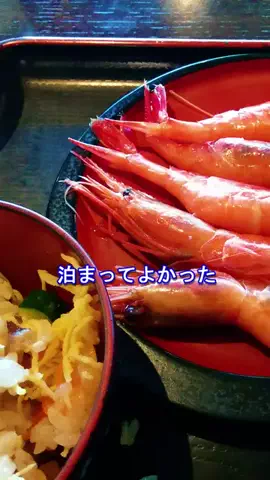 おでかけポコのTikTok PR投稿：#夏休み旅行キャンペーン #PR #TikTokGO #万座温泉 #日進館 【…
