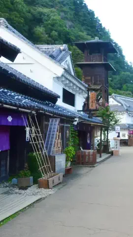 おでかけポコのTikTok投稿