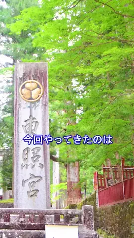 おでかけポコのTikTok投稿