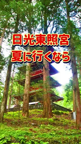 おでかけポコのTikTok投稿