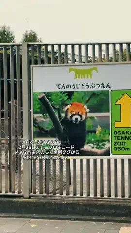 ASUKA_旅のガイドブックのTikTok投稿