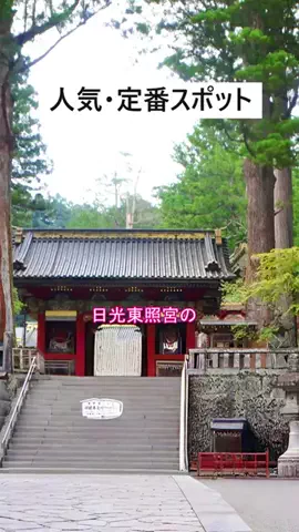 おでかけポコのTikTok投稿