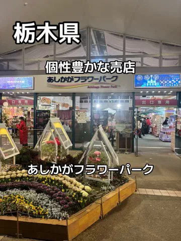 ポイけしき♨️宿図鑑のTikTok投稿