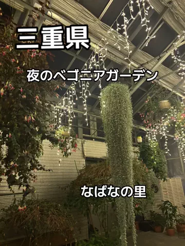 ポイけしき♨️宿図鑑のTikTok投稿