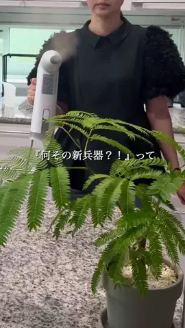ちこのおうちのTikTok投稿