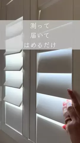p.taroo🦝🐈のTikTok投稿