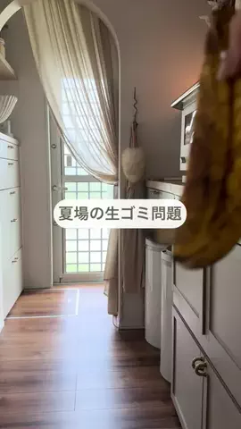 p.taroo🦝🐈のTikTok投稿